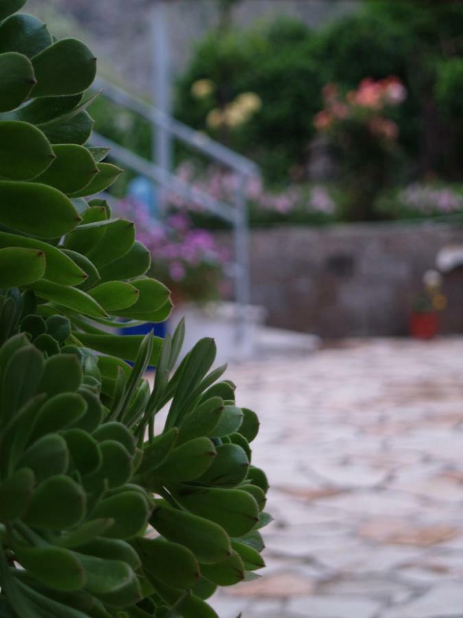 Apartamento La Casa Di Nonna Qeparo Exterior foto